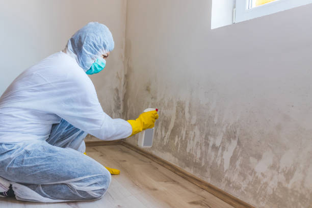 Bathroom Mold Removal assessment in Davidsville bathroom