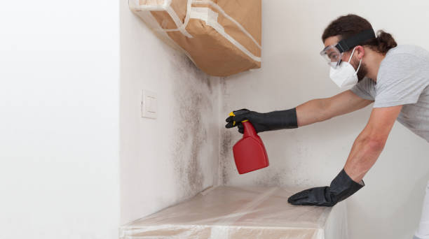 Attic Mold Remediation treatment on roof deck in Davidsville